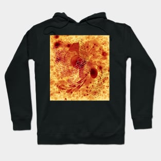 Alien bee hive in orange space Hoodie